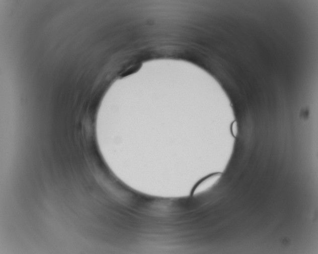 X0000113160086200910161254