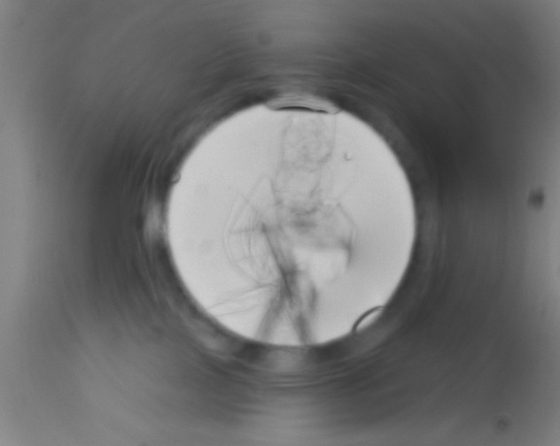 X0000113160089200910161254