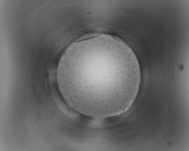 X0000113160090200910161254