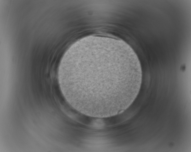 X0000113160091200910161254