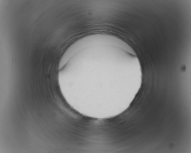 X0000113160092200910161254