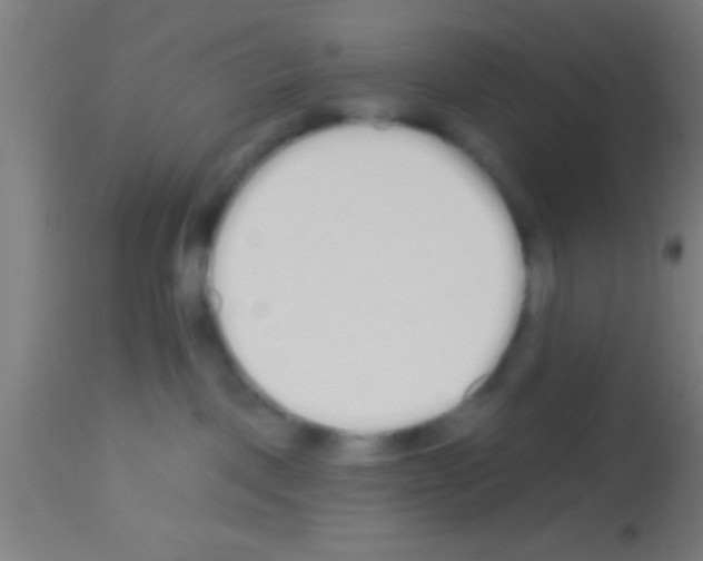 X0000113160093200910161254