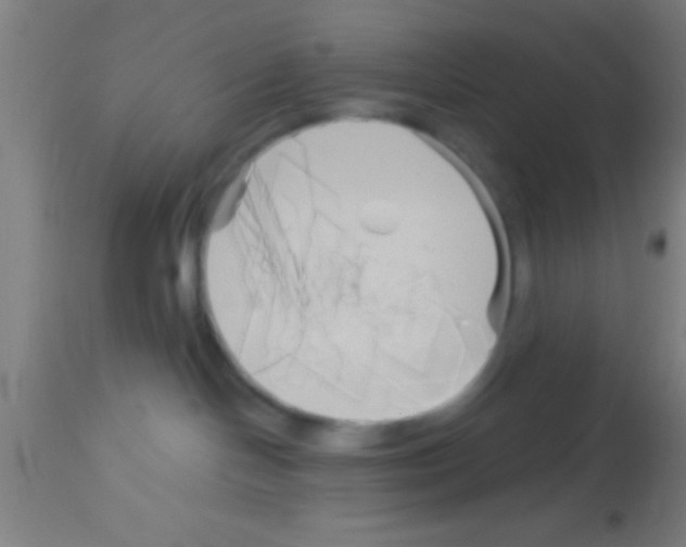 X0000113160094200910161254