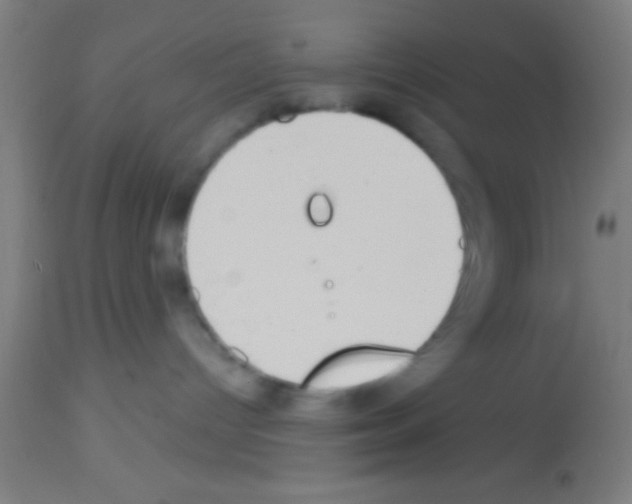 X0000113160096200910161254