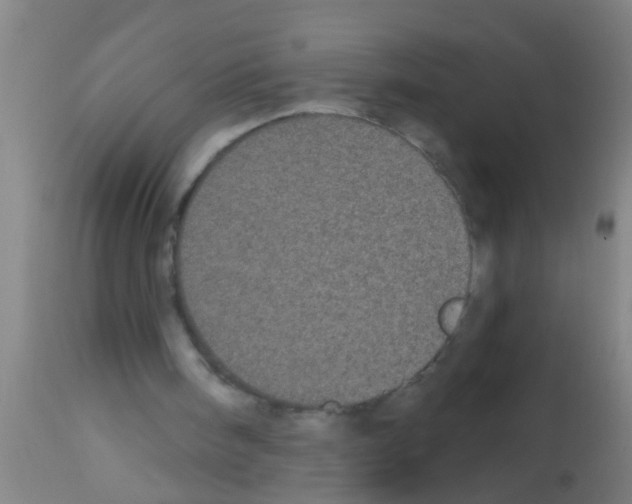 X0000113160098200910161253