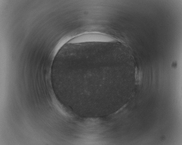 X0000113160099200910161253