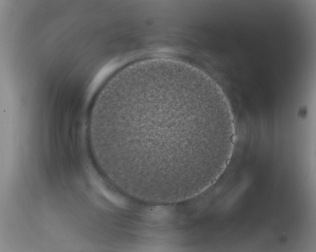 X0000113160102200910161253