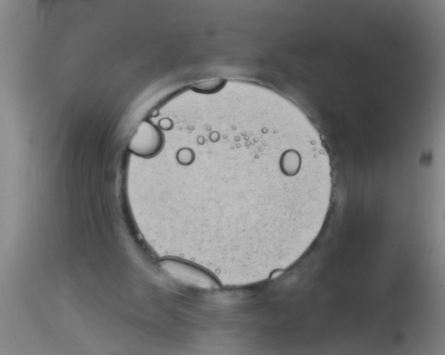 X0000113160103200910161253