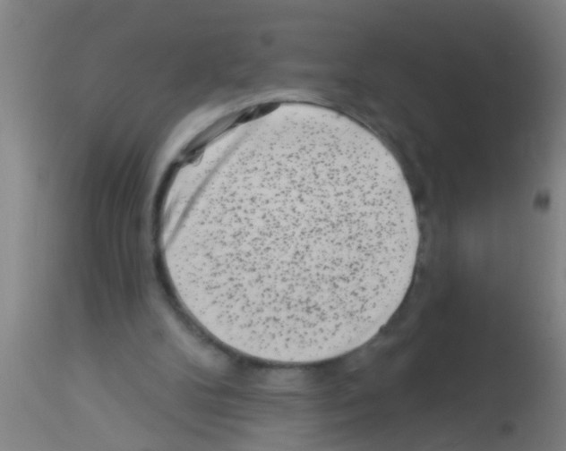 X0000113160104200910161253