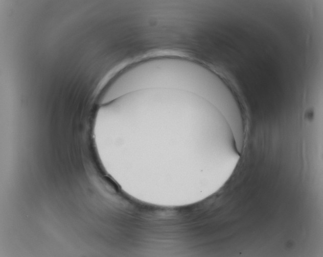 X0000113160108200910161253