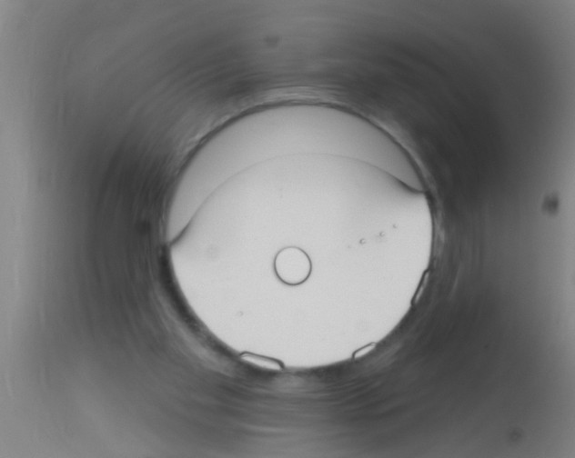 X0000113160109200910161253