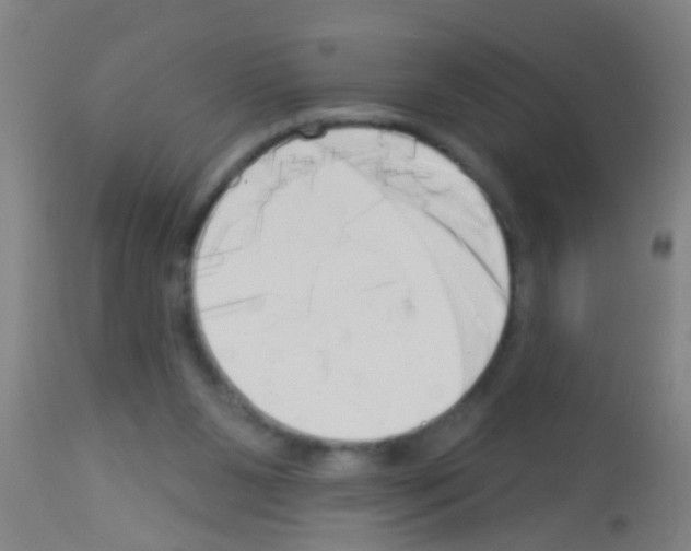 X0000113160111200910161253