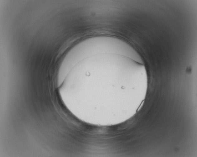 X0000113160116200910161253