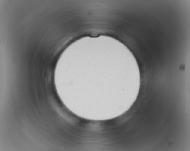 X0000113160120200910161253