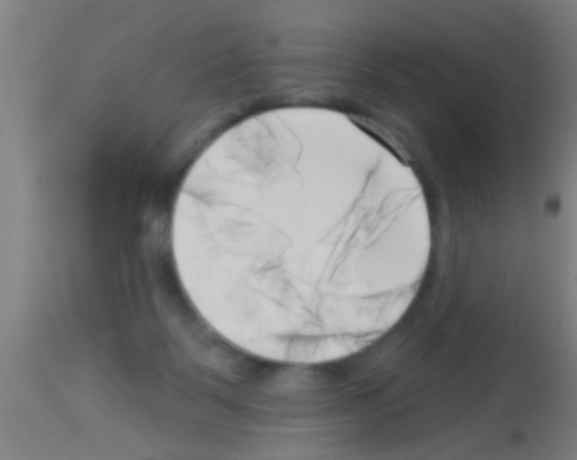 X0000113160123200910161253