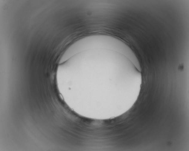 X0000113160124200910161253