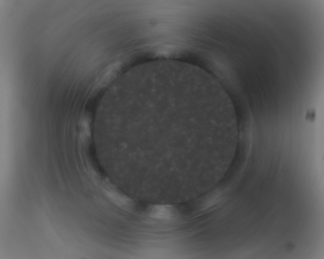 X0000113160127200910161253