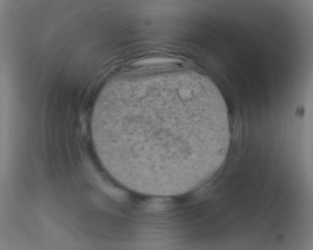 X0000113160128200910161253