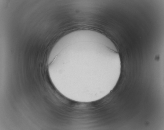 X0000113160129200910161253