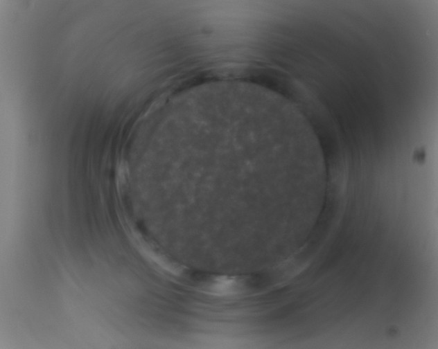 X0000113160130200910161253