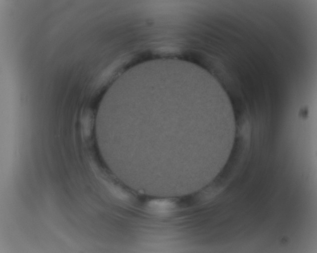 X0000113160133200910161253