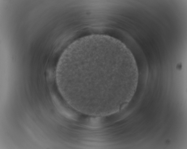 X0000113160134200910161253