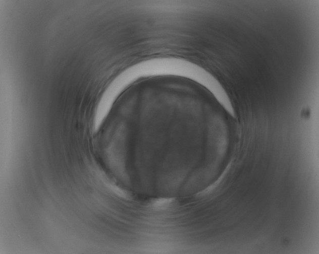 X0000113160136200910161253