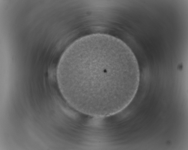 X0000113160138200910161253