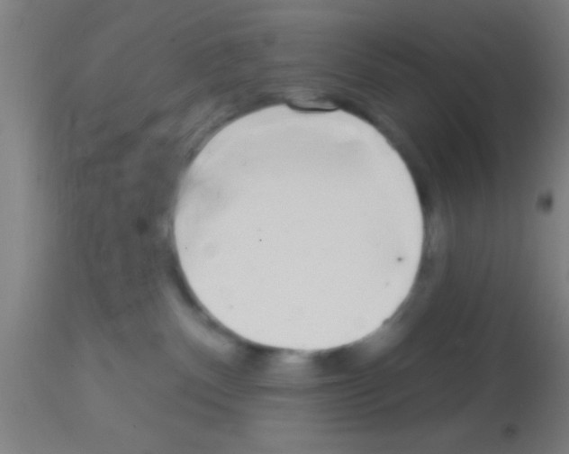 X0000113160140200910161253