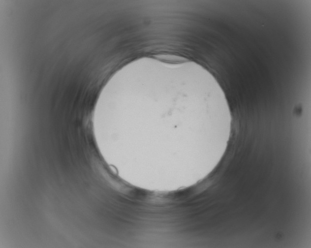 X0000113160141200910161253