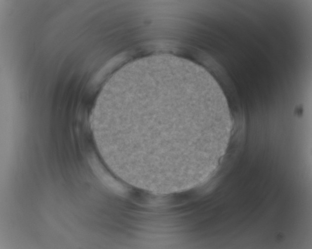 X0000113160142200910161253