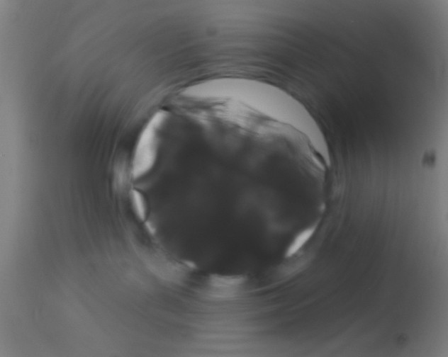 X0000113160143200910161253