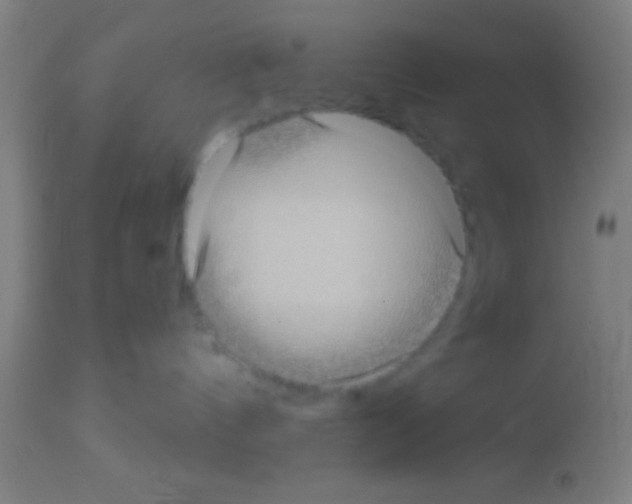 X0000113160144200910161253