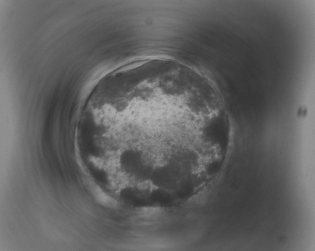 X0000113160145200910161252