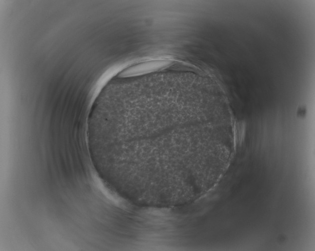 X0000113160147200910161252