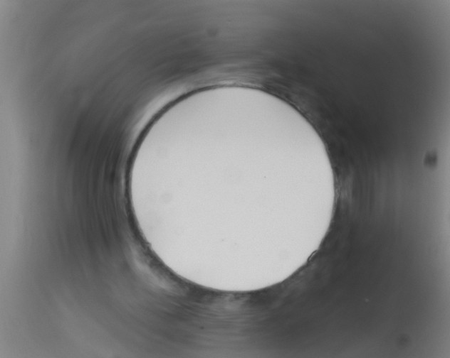 X0000113160148200910161252