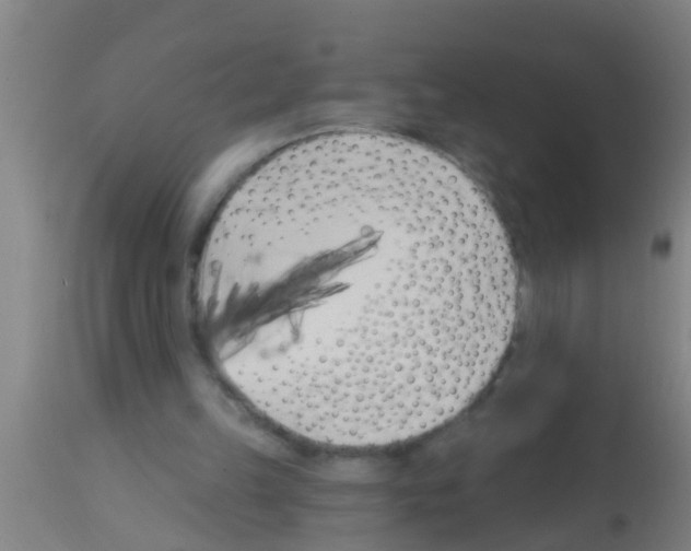 X0000113160149200910161252