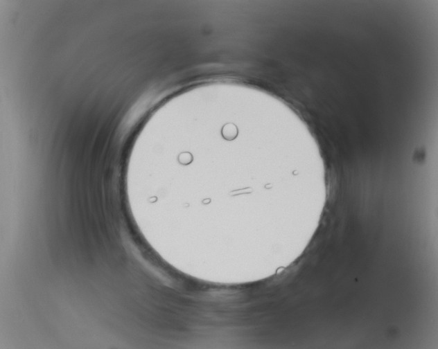 X0000113160150200910161252