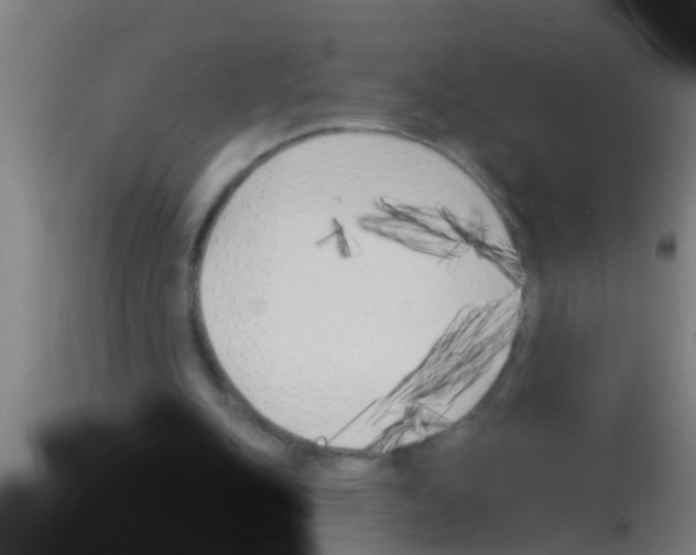 X0000113160151200910161252