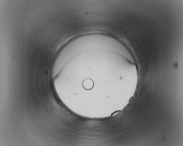 X0000113160154200910161252