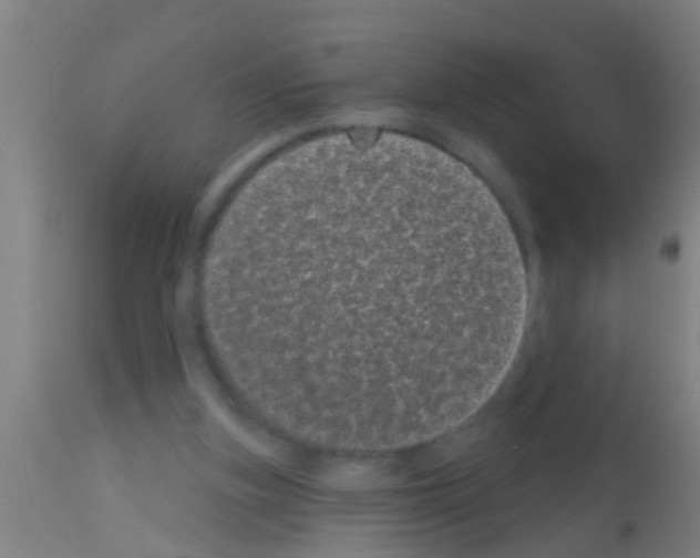 X0000113160155200910161252