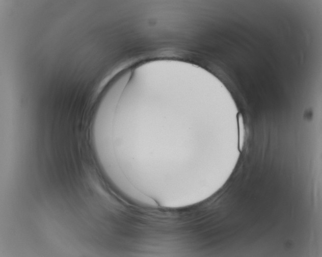 X0000113160156200910161252