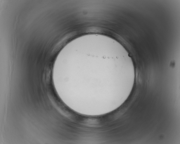 X0000113160157200910161252