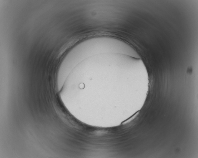 X0000113160158200910161252