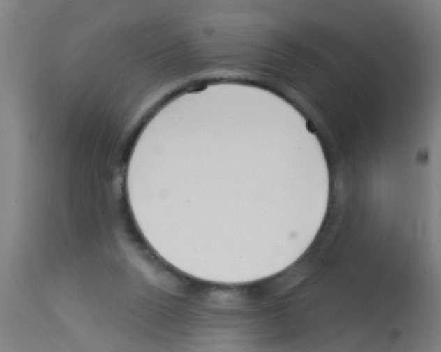 X0000113160160200910161252