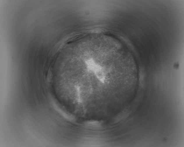 X0000113160161200910161252