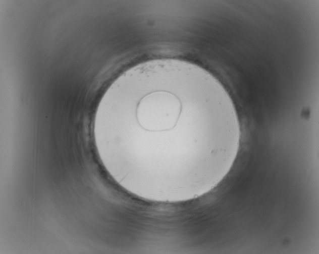 X0000113160162200910161252