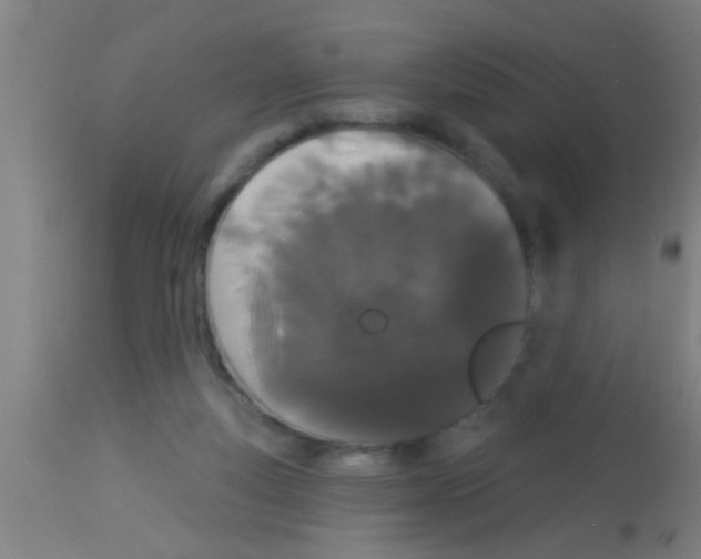 X0000113160163200910161252