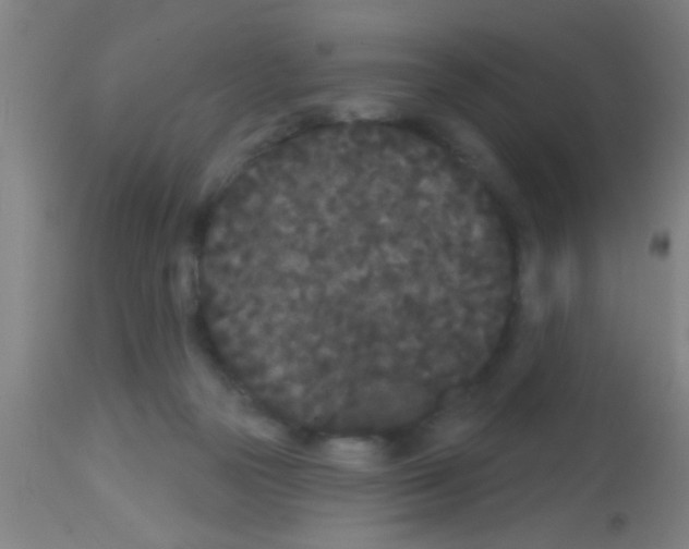 X0000113160169200910161252