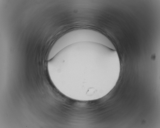 X0000113160170200910161252